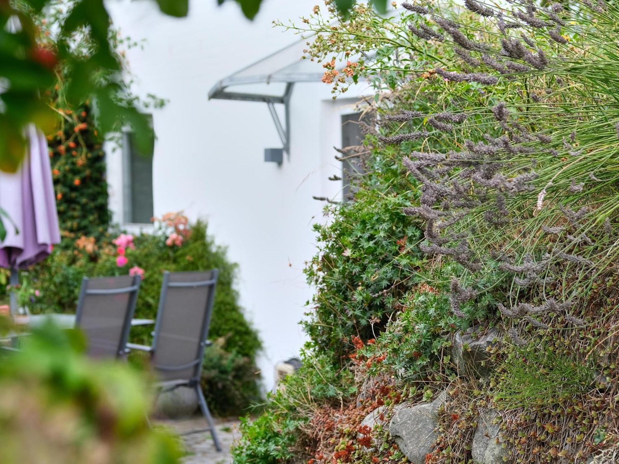 Ruhetal -Ferienwohnung Mit Sonnenterasse Glücksburg Dış mekan fotoğraf